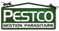 Logo pestco maison verte écrit gestion parasitaire montréal avec deux fourmis